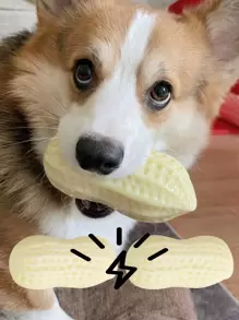 1只狗tpr花生形咀嚼玩具,耐咬和耐撕。互動式,發聲寵物玩具 - 米色 - 查看 1