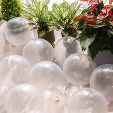 50個透明氣球,5英寸透明乳膠派對氣球,適用於生日聚會、嬰兒派對、婚禮、萬聖節或聖誕派對的裝飾(附白色絲帶)