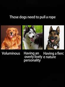 1入組多色牛仔布寵物胸帶套裝包括胸帶、項圈和牽繩,適合大、中、小型犬 - 黑色 - 查看 5