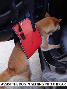 寵物行走輔助背帶,狗狗步行站立支撐攜帶者,後腿受傷輔助背帶,手術後行走輔助背帶 - 紅色 - 查看 7