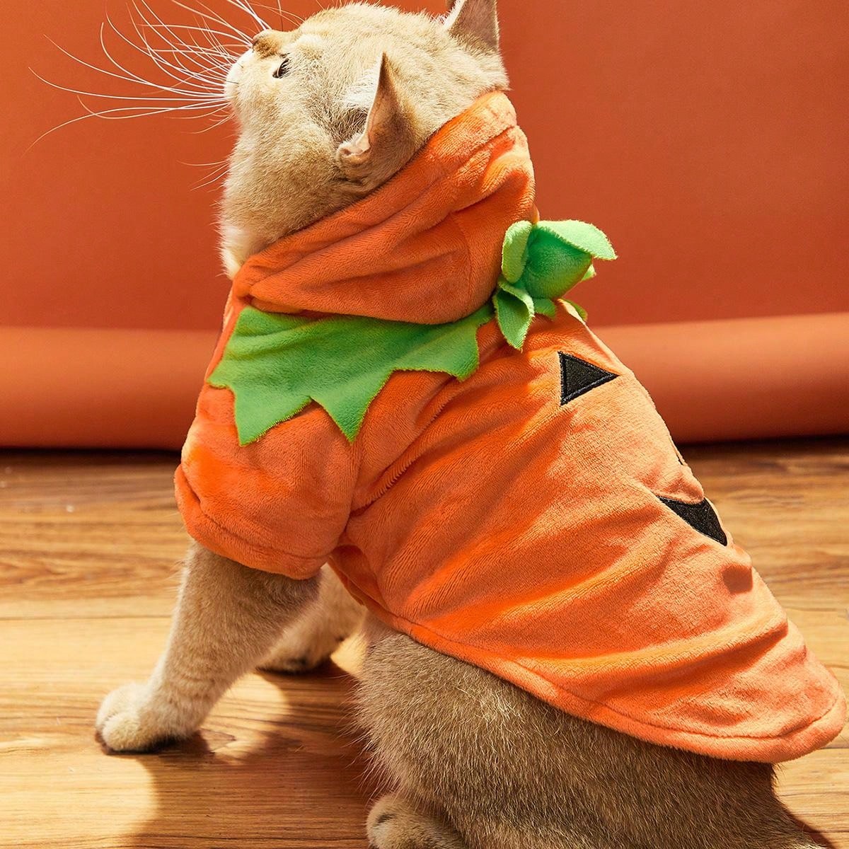 Halloween Smiling Pumpkin Bodysuit With Attached Legs SHEIN USA