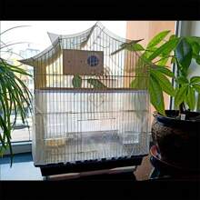 1pc Adjustable Bird Cage Cover Net, Protective Mesh Screen For Parrot Cage, Dust/Splash/Food Proof, Stretchable, Fits Small, Medium And Large Cages - White - View 5