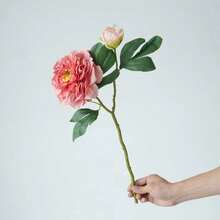 2 件淺粉色仿真牡丹花 2 頭仿真植物 - 粉色 - 查看 1