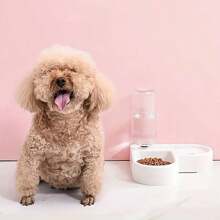 Automatic Food And Water Dispenser, Multi-functional Pet Feeder For Both Cats And Dogs - White - View 8