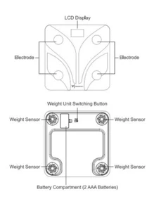 Báscula Corporal Inteligente Bluetooth Smart APP - Blanco y Negro - Ver 5