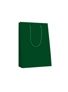 Sacola Colorida Alça Cordão Pacote com 10 Unidades