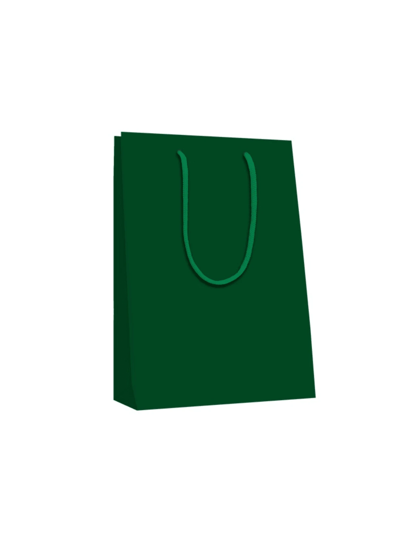 Sacola Colorida Alça Cordão Pacote com 10 Unidades