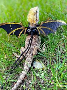 1套革製背帶,配翅膀和胸/背部繩索,適合蜥蜴變色龍的室內外使用 - 金色 - 查看 2