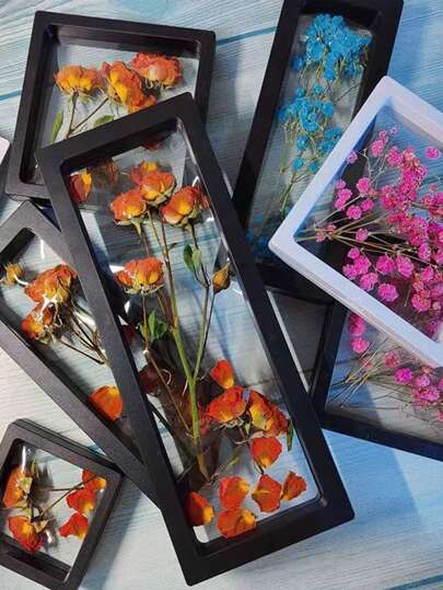 1 件现代简约干花相框（塑料）干花 3D 相框 DIY 展示架装饰浮动相框（非玻璃）