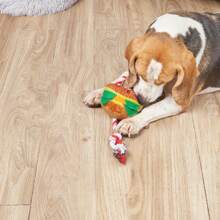 Pet Plush & Rope 2-in-1 Toy, Burger Shaped & Squeaky, For Dogs - Brown - View 2