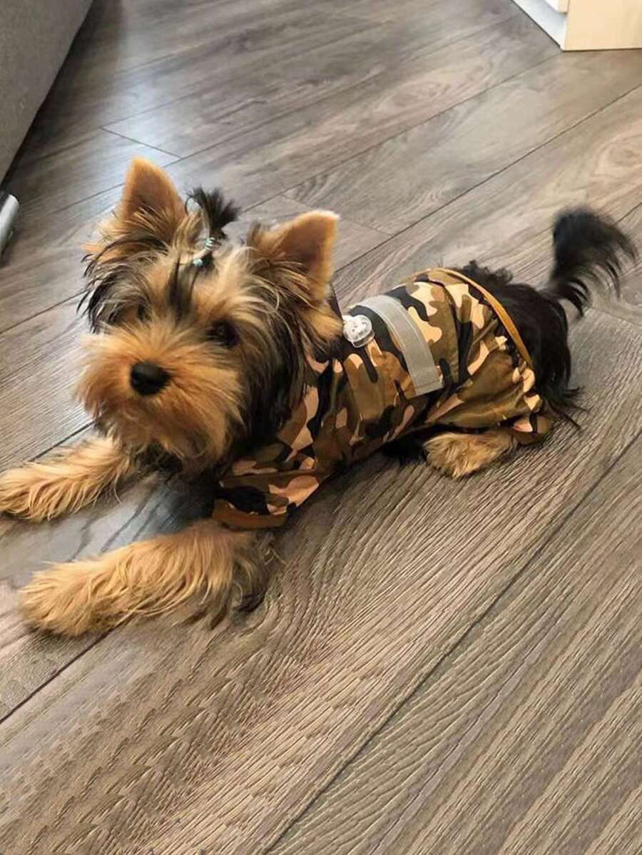 1pc Polyester Four-legged Double-layer Hooded Raincoat With Buckle, Suitable For Pet Rainy Days - Army Green - View 1