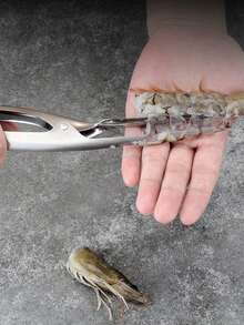 1pc Silver Stainless Steel Shrimp Peeler, Shell Removing Tool For Home Kitchen - Silver - View 2