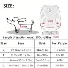 貓狗胸背帶牽引繩,適用於小型中型狗狗和貓咪,可調節網眼聚酯纖維背心 - 藍色 - 查看 2