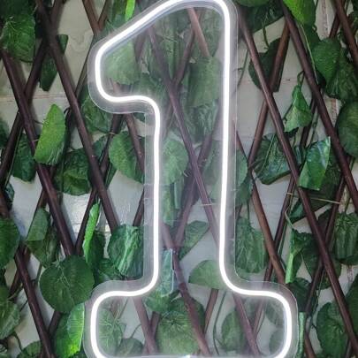 Painel Led Neon Número 1 Acrílico Cristal 50cm Altura