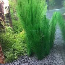 1入30公分仿真羽毛草水族箱裝飾,人造植物 - 綠色 - 查看 4