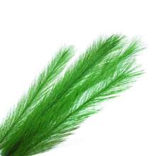 1入30公分仿真羽毛草水族箱裝飾,人造植物 - 綠色 - 查看 6