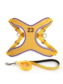 Bộ vòng cổ,  thắt lưng & dây đai cho thú cưng - Màu vàng - Xem 4