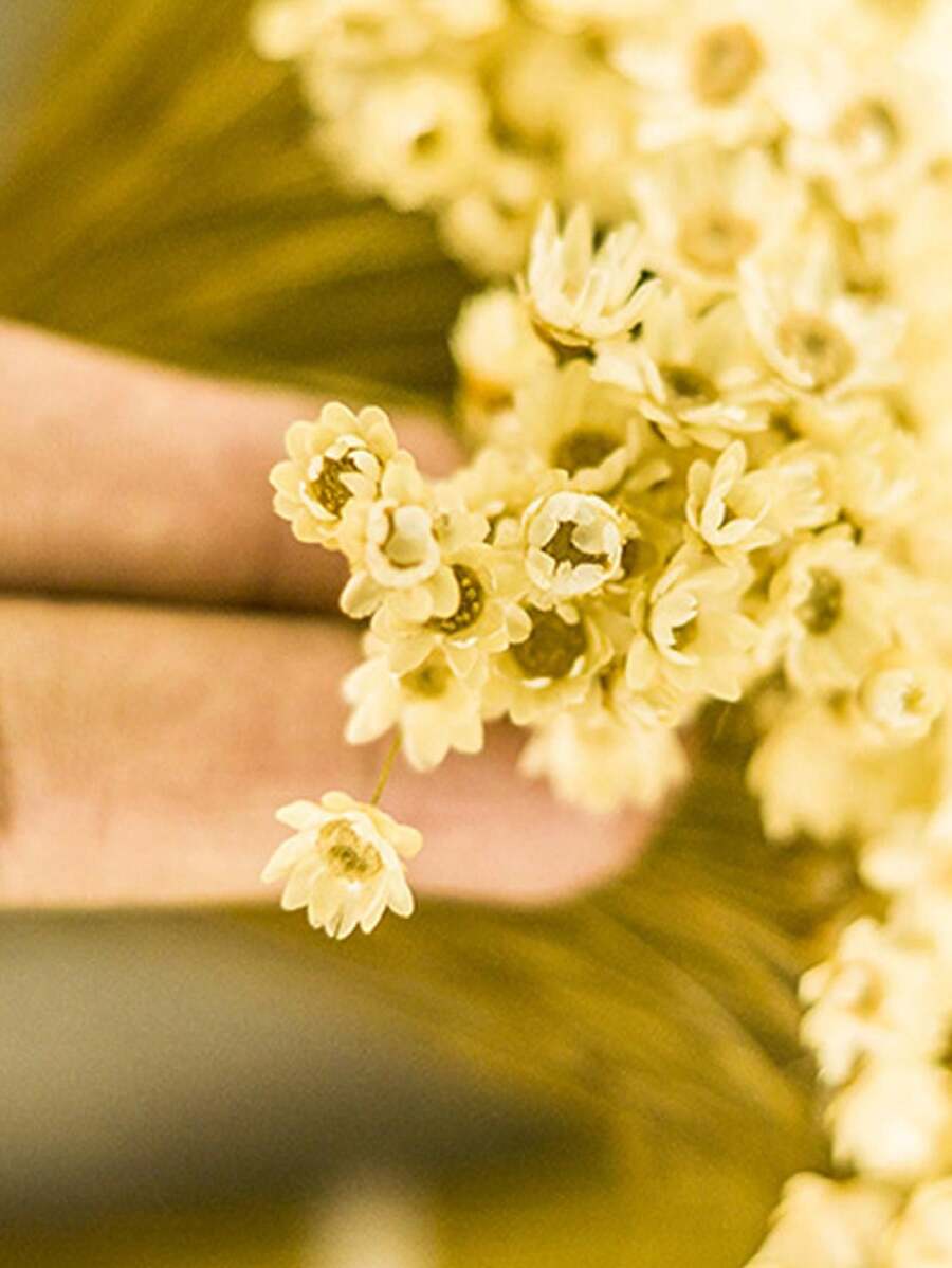 Artificial Flowers - 渴望 - 查看 1