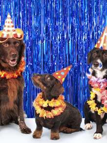 3 tấm rèm tua rua kim loại màu xanh lam dùng cho Studio chụp ảnh, sinh nhật, đám cưới, đính hôn, tiệc cô dâu, đêm dành cho con gái, lễ hội, lễ kỷ niệm, trang trí tiệc, Giáng sinh - Màu xanh lam - Xem 4