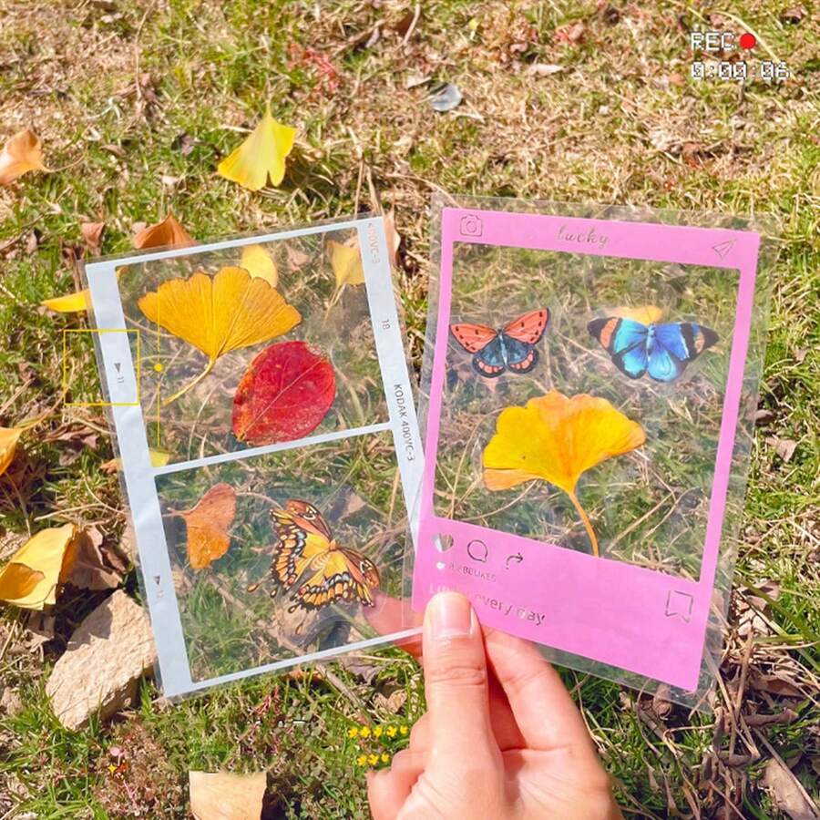 12 件(不含乾花)創意乾花書籤 Diy 透明瓶花壓貼套件用於 Diy 植物標本製作,適合學生 - 彩色 - 查看 1