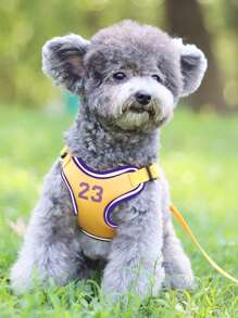 Bộ vòng cổ,  thắt lưng & dây đai cho thú cưng - Màu vàng - Xem 6