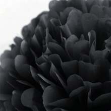 15pcs Black & Gold Party Decorative Paper Balls Set, Suitable For Graduation Party, Wedding, Birthday, Engagement And Other Occasions, Paper Garland Balls Can Be Hung On Ceiling Or Wall As Decor