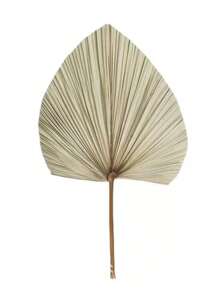 1 Pieza de hoja palma seca abanicos 45cm planta artificial - Café integral - Ver 1