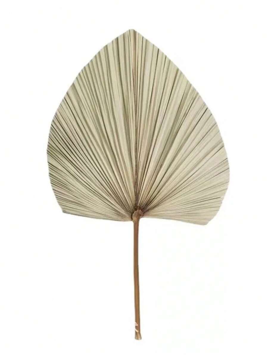 1 Pieza de hoja palma seca abanicos 45cm planta artificial - Café integral - Ver 1
