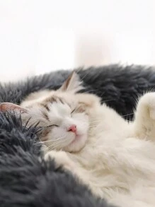 1pc Plush (non-removable) Round Thickened Warm Pet Bed, Suitable For Small To Medium-sized Cats And Dogs To Sleep Indoors In All Seasons - Dark Grey - View 6