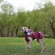寵物便攜式pu雨衣,反光防水披風式狗雨衣,戶外服裝