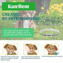 1 pieza Collar antiparasitario para perros pequeños, impermeable, collar para mascotas - grande - Ver 5