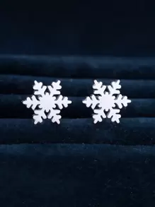 Tsnamer Bông tai stud - Bạc - Xem 1