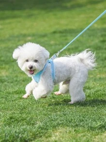 Reflective Dogs Harness With Leash Adjustable Harness Vest Breathable Collars For Small Large Dogs - Blue - View 2