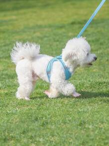 Reflective Dogs Harness With Leash Adjustable Harness Vest Breathable Collars For Small Large Dogs - Blue - View 3