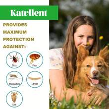 1 pieza Collar antiparasitario para perros pequeños, impermeable, collar para mascotas - grande - Ver 2
