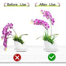 5包11英寸塑膠植物,隱形植物支撐棍棒帶環適用於室內戶外植物,植物支撐合適的適用於盆栽植物花卉牡丹百合玫瑰番茄 - 綠色 - 查看 3