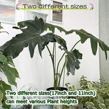 5包11英寸塑膠植物,隱形植物支撐棍棒帶環適用於室內戶外植物,植物支撐合適的適用於盆栽植物花卉牡丹百合玫瑰番茄 - 綠色 - 查看 6