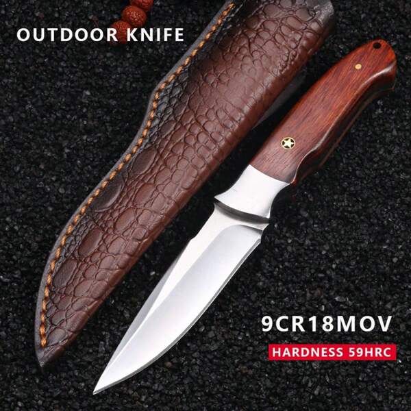 1pc Portable High Hardness Sharp Survival Knife With Sheath, Suitable For Outdoor Camping, Mountaineering, Emergency, Home Use, Stainless Steel Fruit Knife