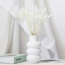 60/120入組兔子尾巴乾花波西m亞家庭裝飾用品,蒲葦適用於插花,婚禮桌子裝飾用品 - 白色 - 查看 6