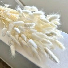 60/120入組兔子尾巴乾花波西m亞家庭裝飾用品,蒲葦適用於插花,婚禮桌子裝飾用品 - 白色 - 查看 1