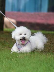 反光狗狗胸帶連牽繩,可調節胸帶背心透氣項圈適用於小型大型犬 - 紫色 - 查看 3