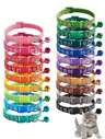 Collares, Correas y Arneses para Mascotas
