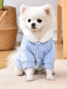 1 件冬季保暖狗狗寵物夾克,帶可愛泰迪熊圖案,燈芯絨面料,防風,適合戶外散步 - 藍色 - 查看 2