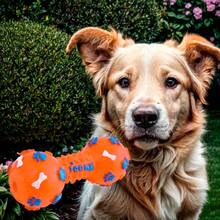 Hueso de Juguete para perro - Naranja - Ver 1