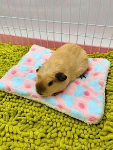 1pc Thickened Coral Velvet Hamster Mat For Small Pets Such As Rabbit, Hedgehog, Random Color - Multicolor - View 4