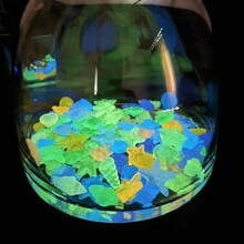 水族館風景發光發亮鵝卵石&小海螺殼(混色) - 混色 - 查看 2
