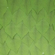 50pcs Simulation Leaf Shaped Sticky Notes - Green - View 5