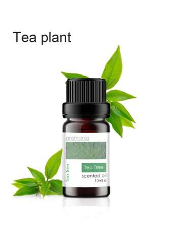 10ml Aromatherapy Essential Oil, Suitable For Aromatherapy Machine, Aromatherapy Furnace, Aromatherapy Lamp, Aromatherapy Wood, Aromatherapy Stone - Tea Tree Gifts Birthday Graduation