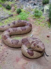 1件逼真的假蛇玩具,軟橡膠蛇模型,花園驚嚇鳥和松鼠的响尾蛇玩具人偶,紓緩壓力搞笑玩具派對禮物惡作劇道具