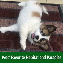 Heavy Duty Outdoor Door Mats Non Slip Rubber Backing Entrance Rug Shoes Scraper Welcome Mat for Front Door Entryway Rug - Brown - View 3